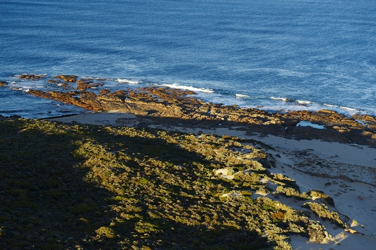 Margaret River wine region Moss Wood