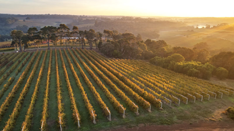 DJI_0742 (1) DJI_0742 (1)