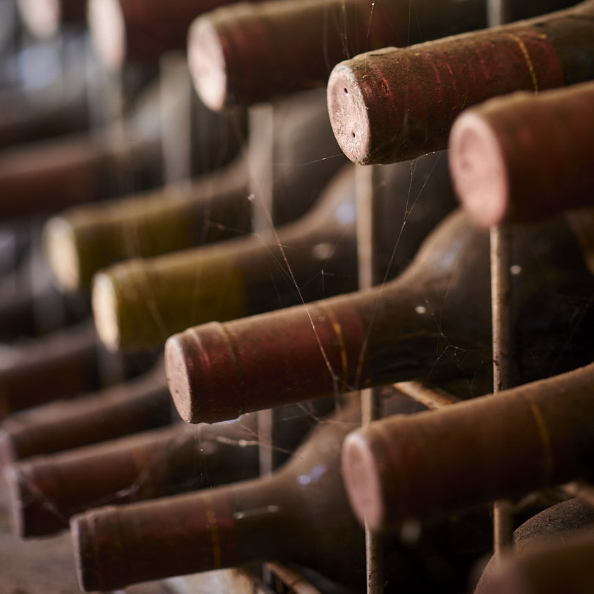 pinot in museum cellar