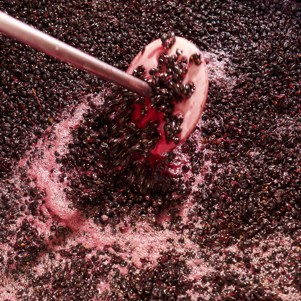 Plunging pinot