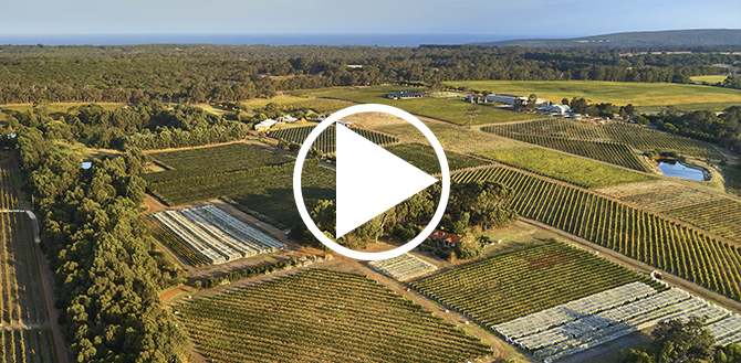 Moss Wood Winery video