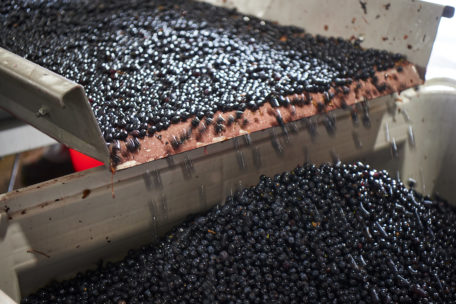 Moss Wood Cab Sav Vintage