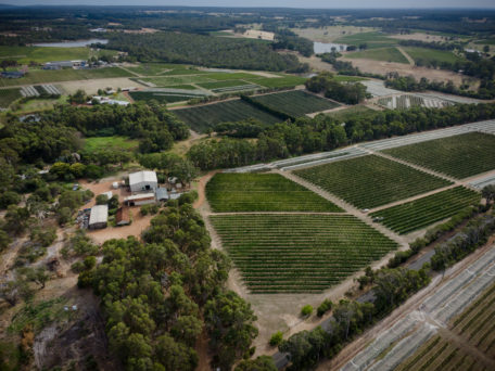 Moss Wood Pinot Noir Vintage 2021