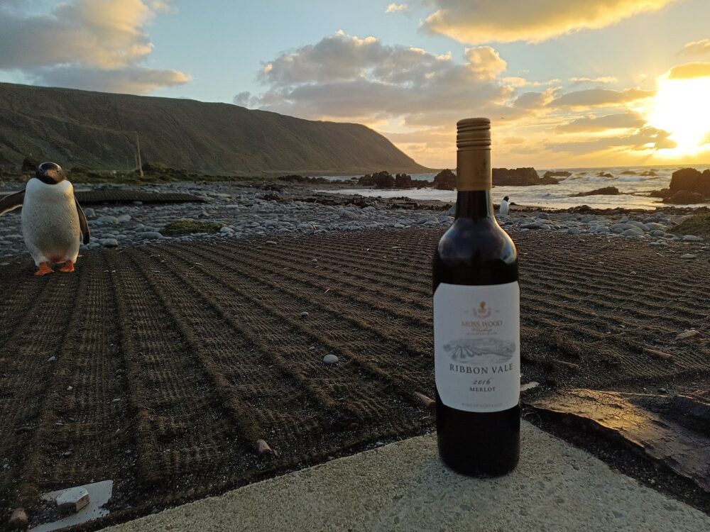 RVMerlot in Macquarie island