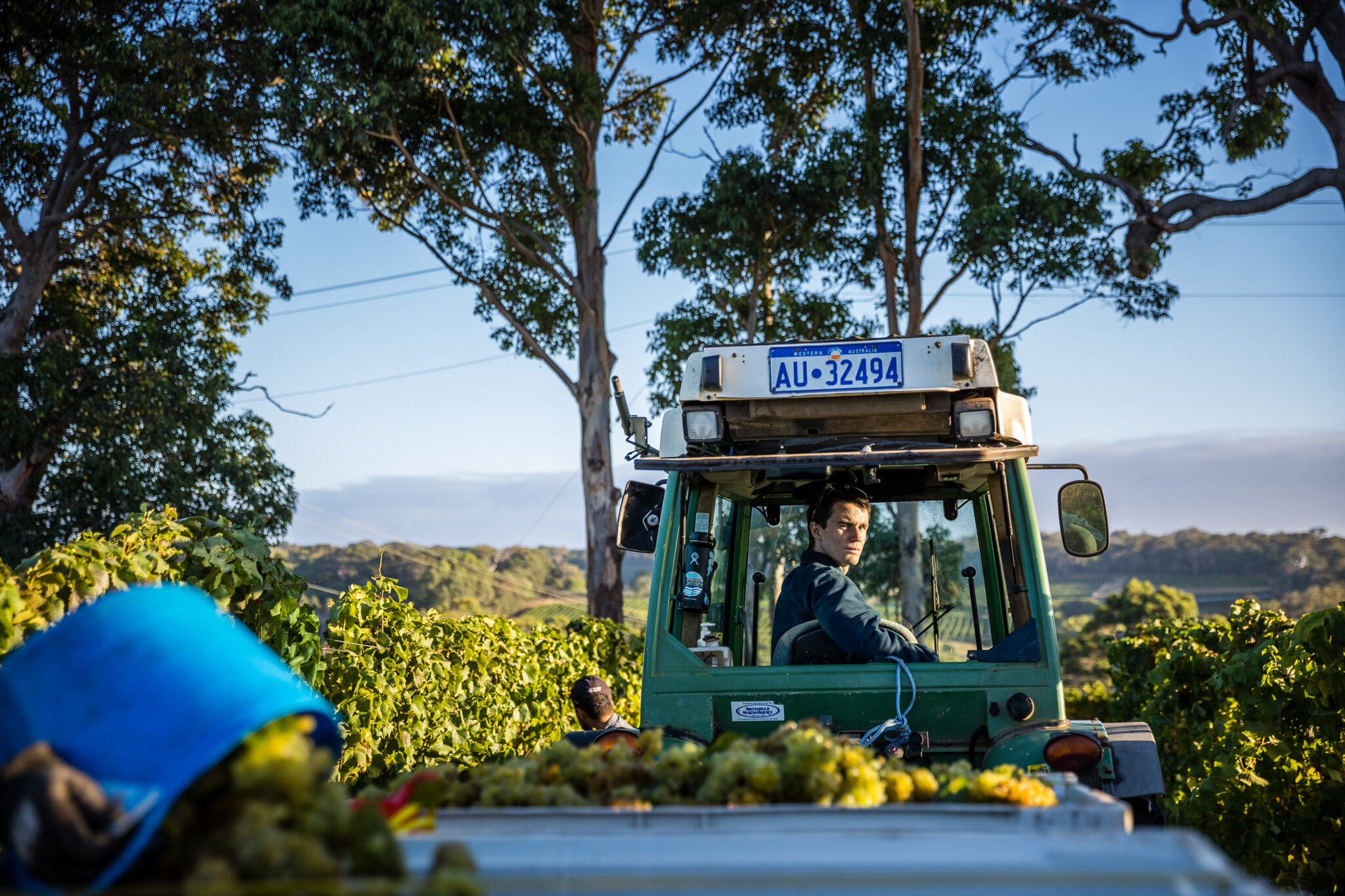 A worker driving vineyard machinery