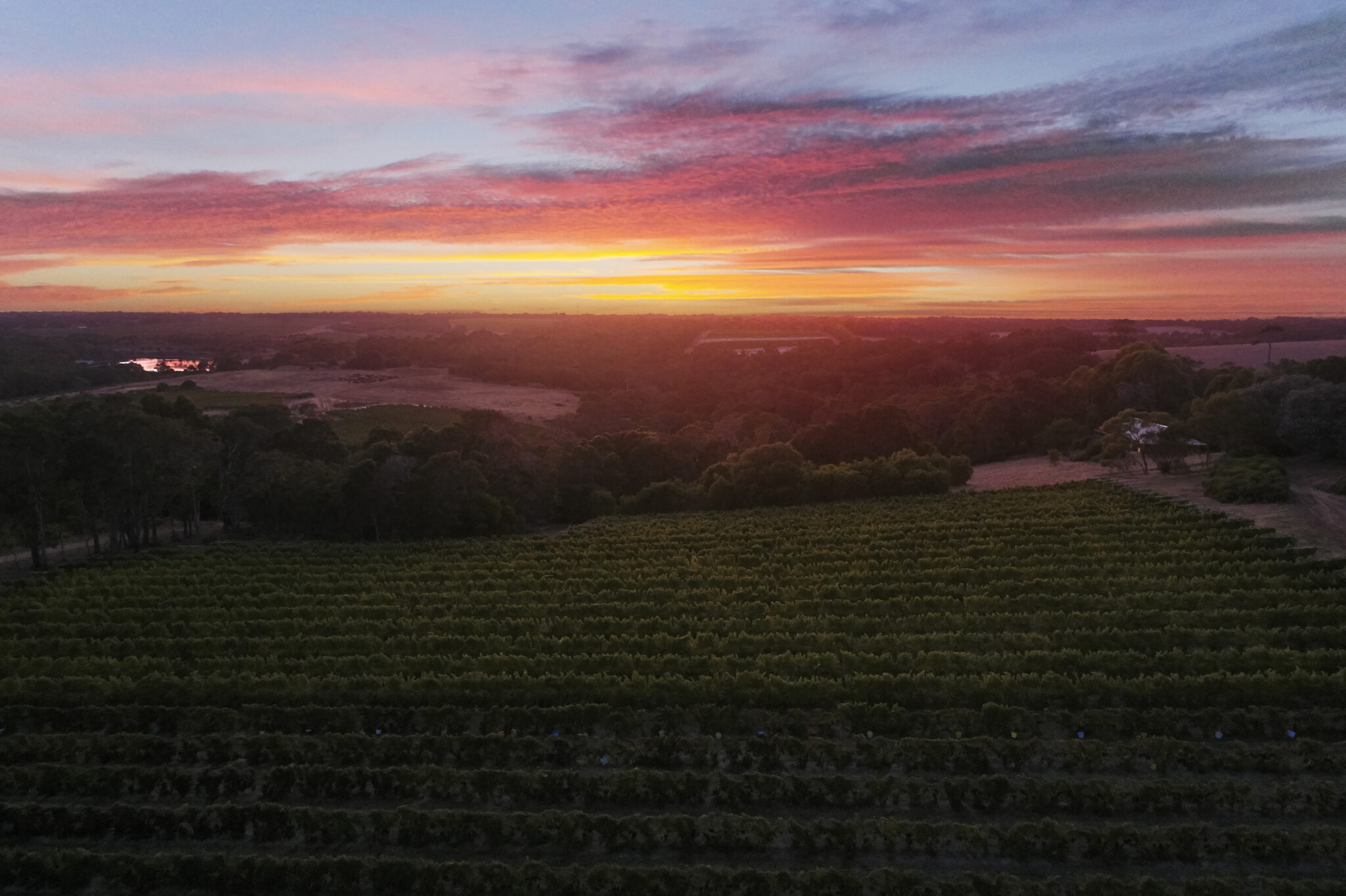 An aerial view of Moss Wood winery vineyard