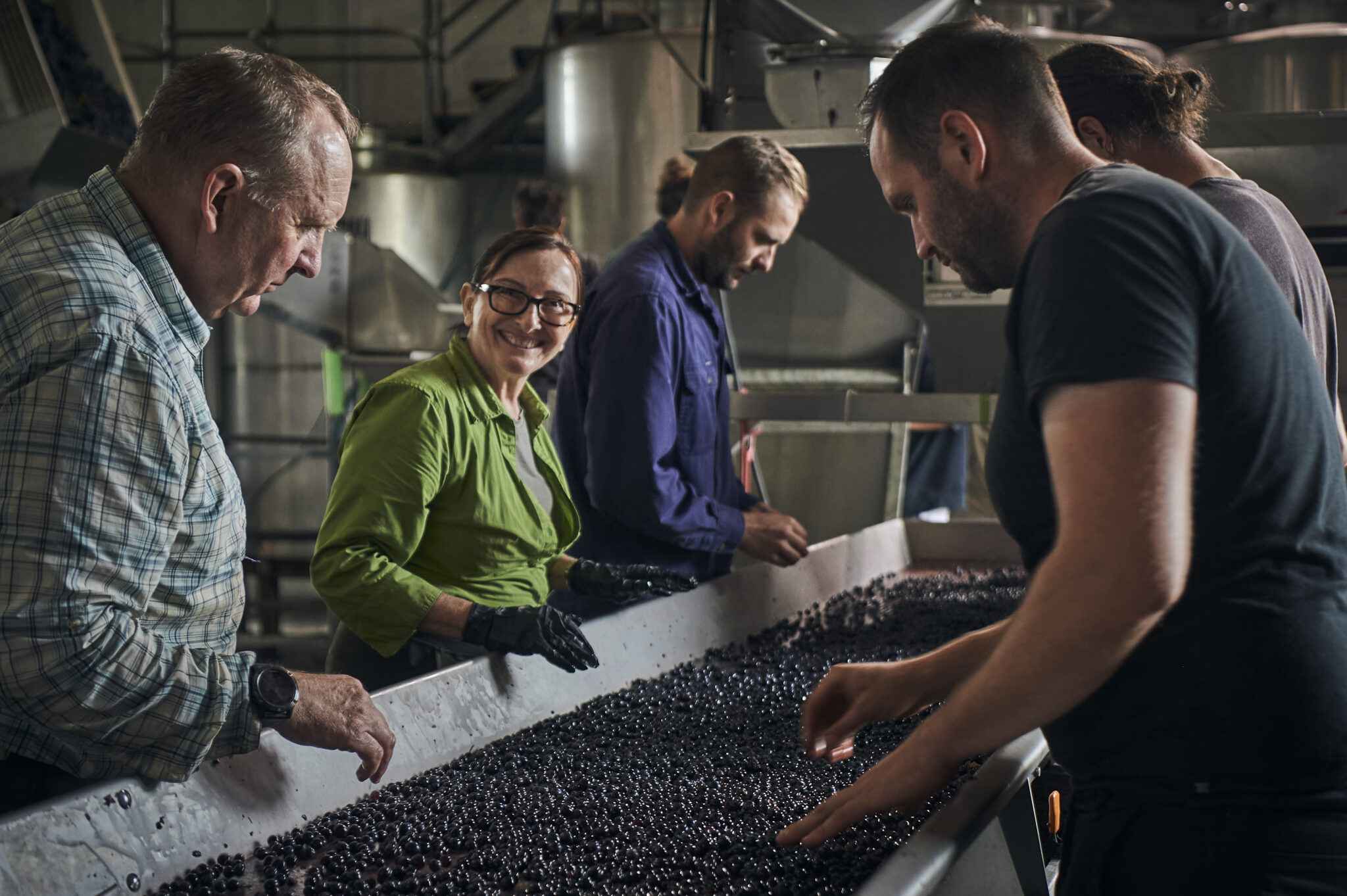 Moss Wood workers inspecting grapes