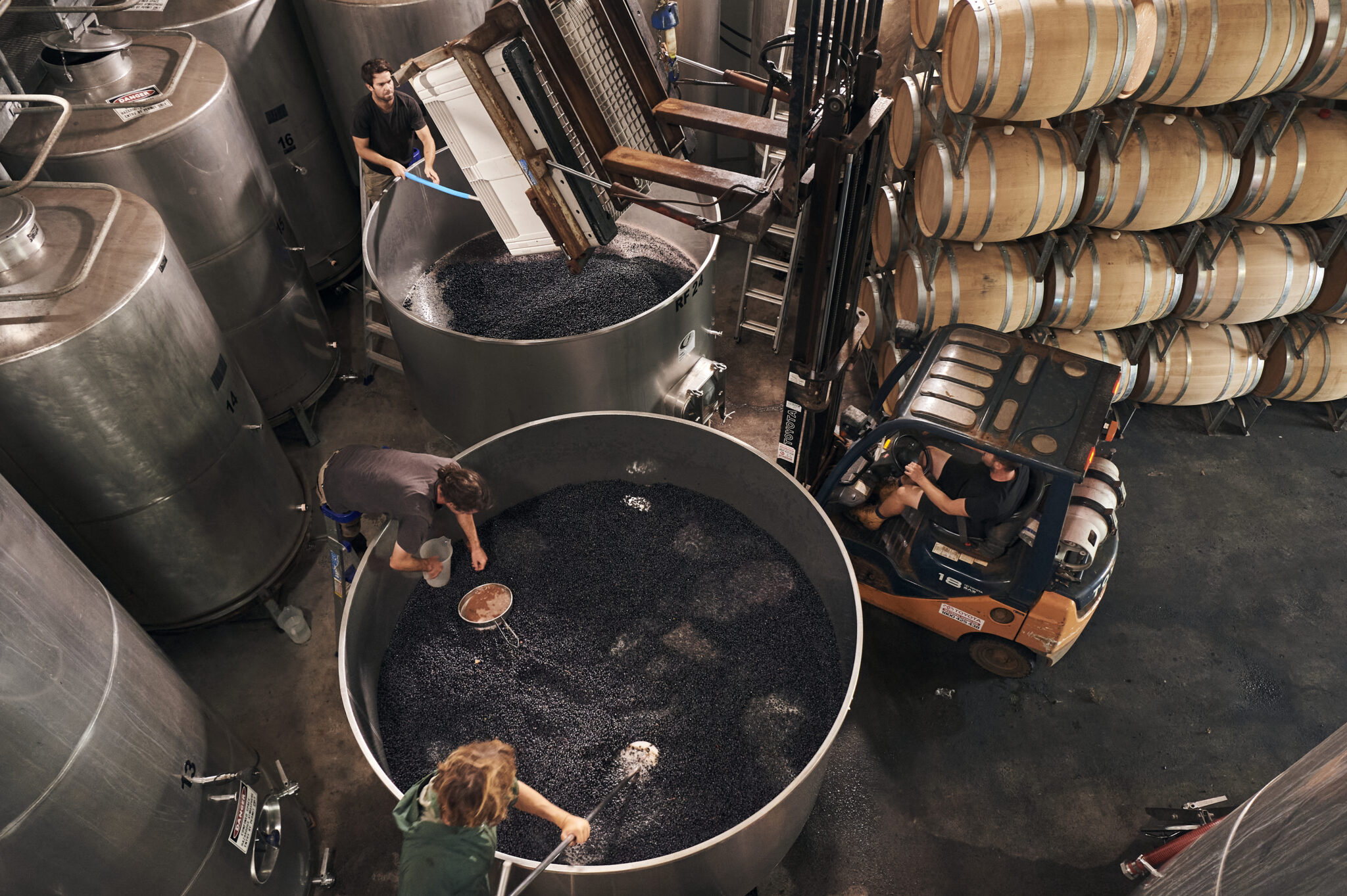 Moss Wood workers busy making wine