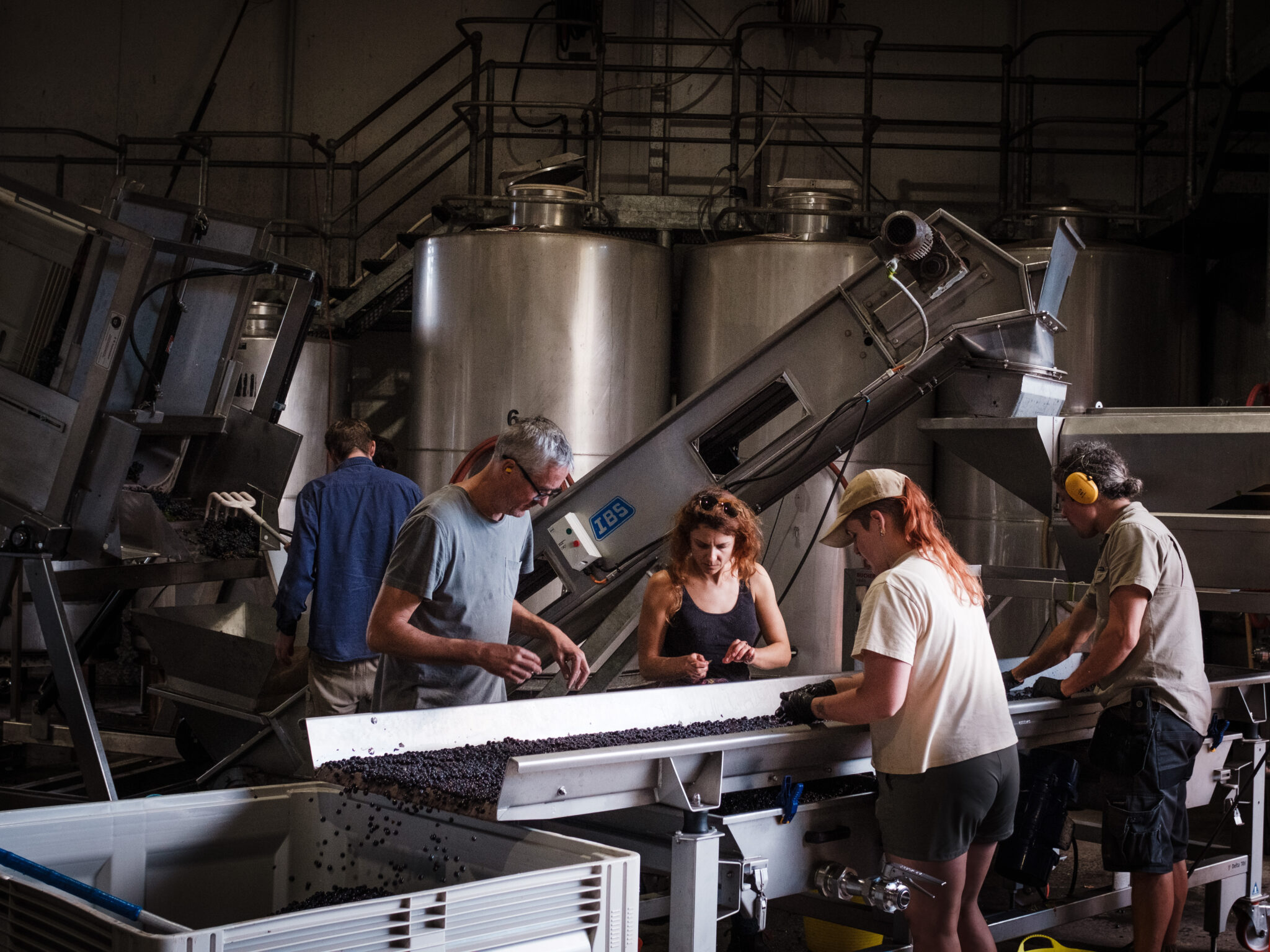 Moss Wood workers making wine