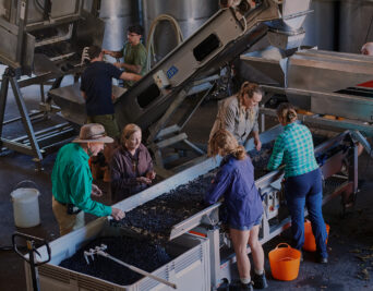 Moss Wood Seasonal Selection Gift Card Test