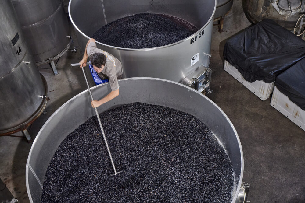 Moss Wood Cabernet Sauvignon Vintage