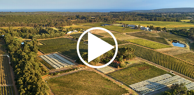 Moss Wood Winery video