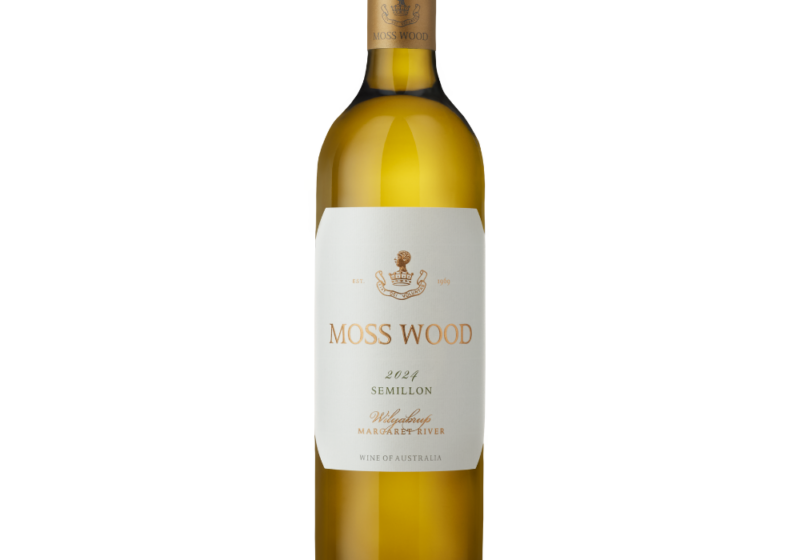 MOSS WOOD 2024 Square product image